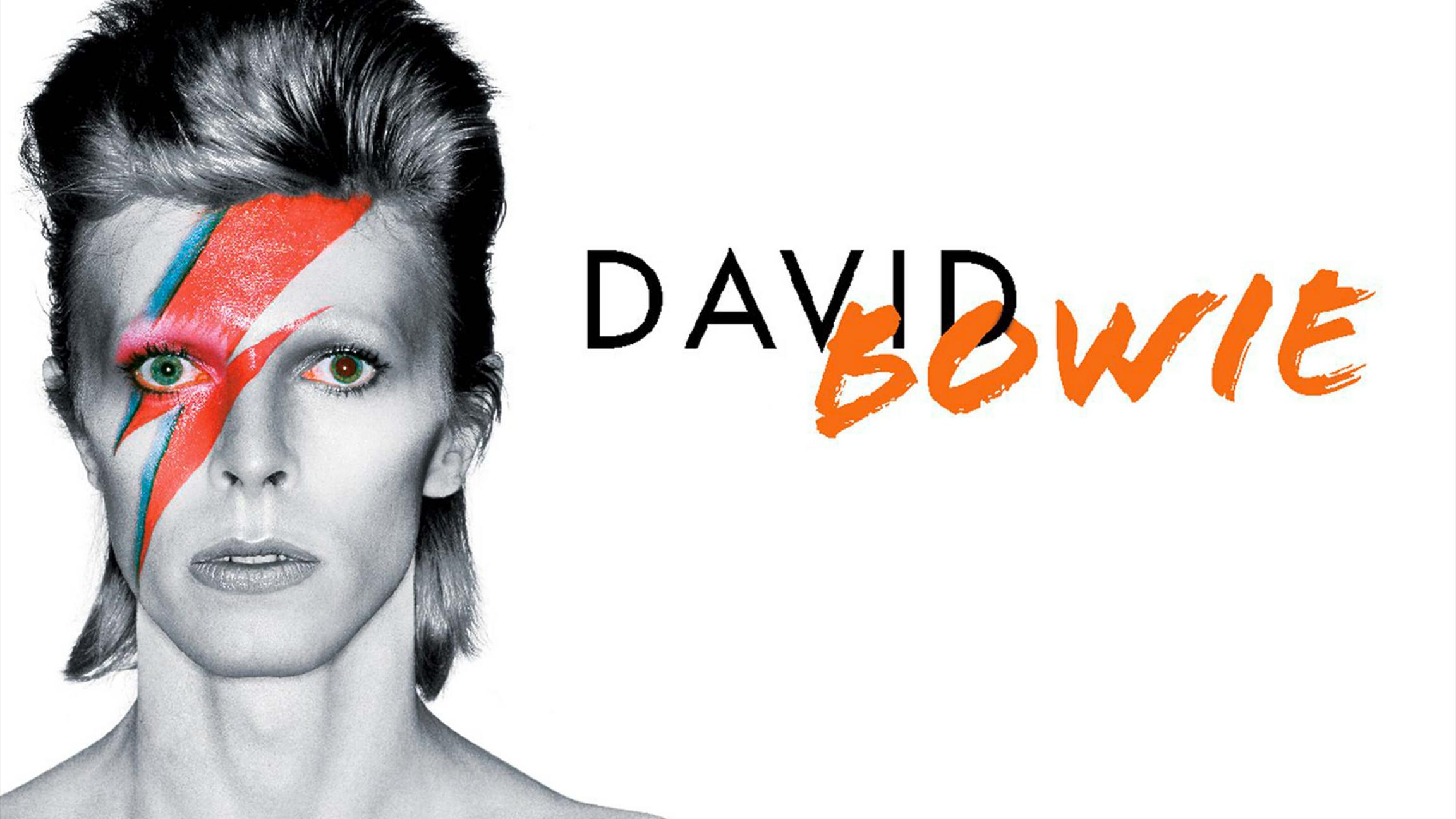 David Bowie exhibition